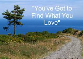 find what you love