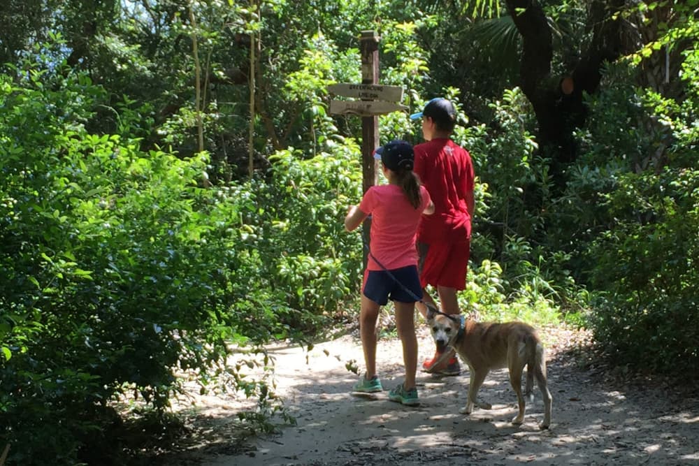 10 Ways to Help Kids Feel Calmer