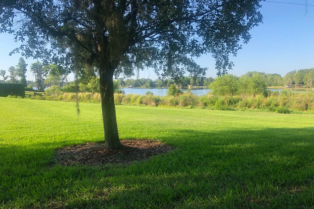 #31: What are some simple things we are not getting enough of?