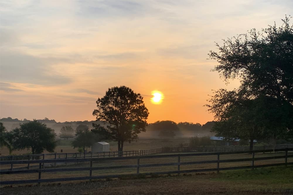 #63: Courage is new every day