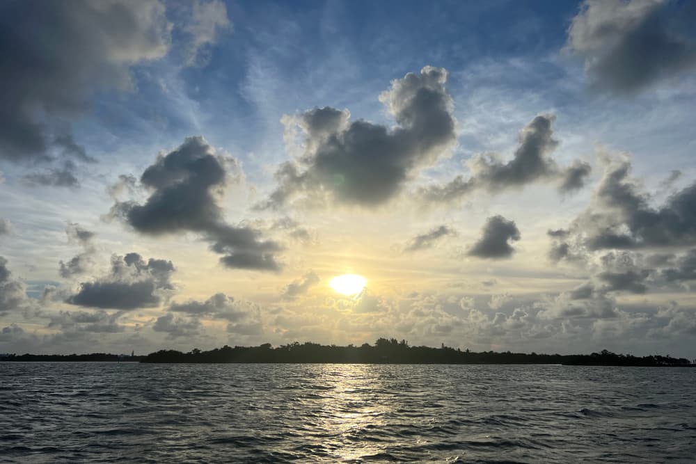 #87: What are you consuming?