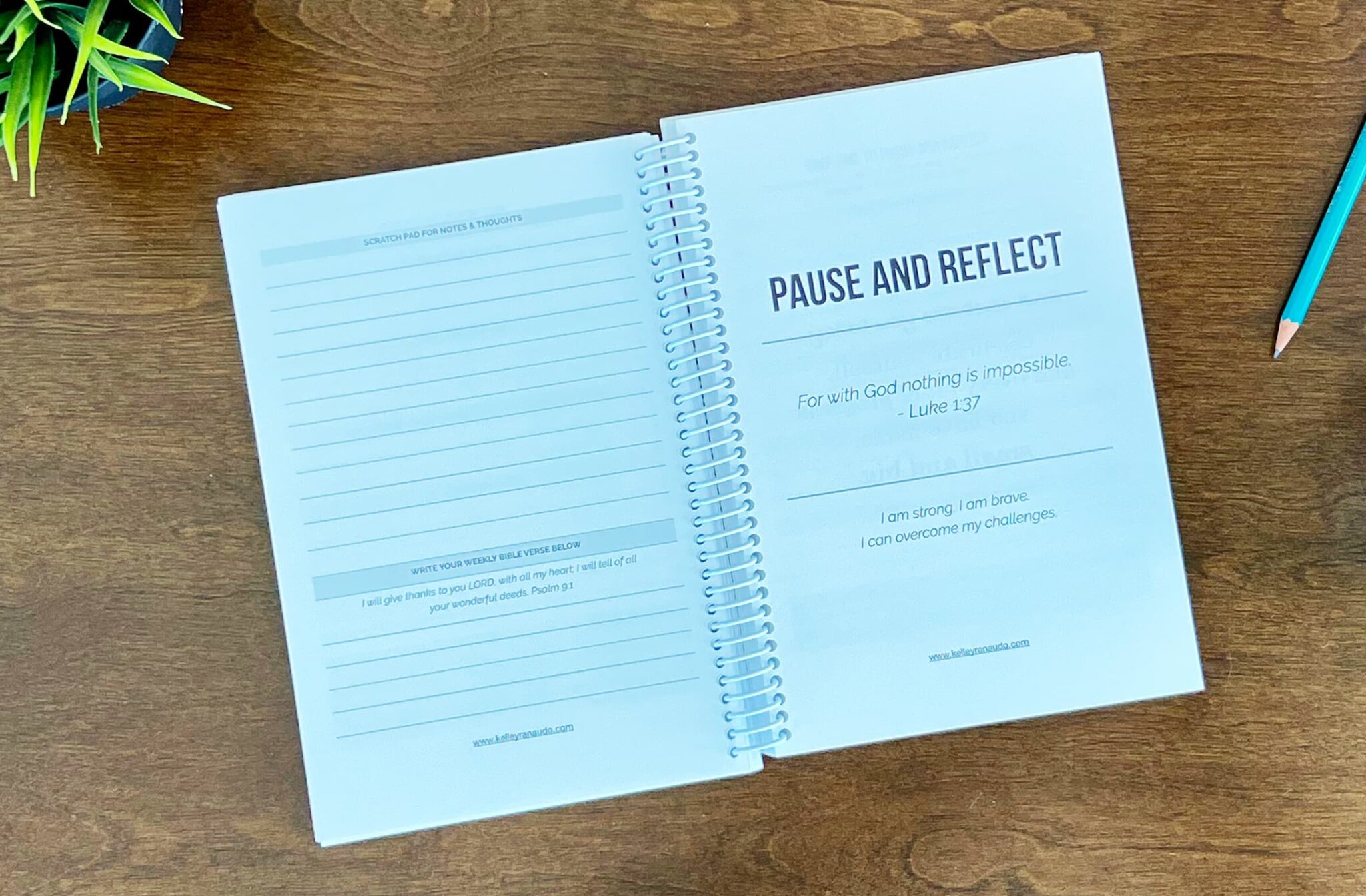 Activity log and assessments data sheets to help plan your week