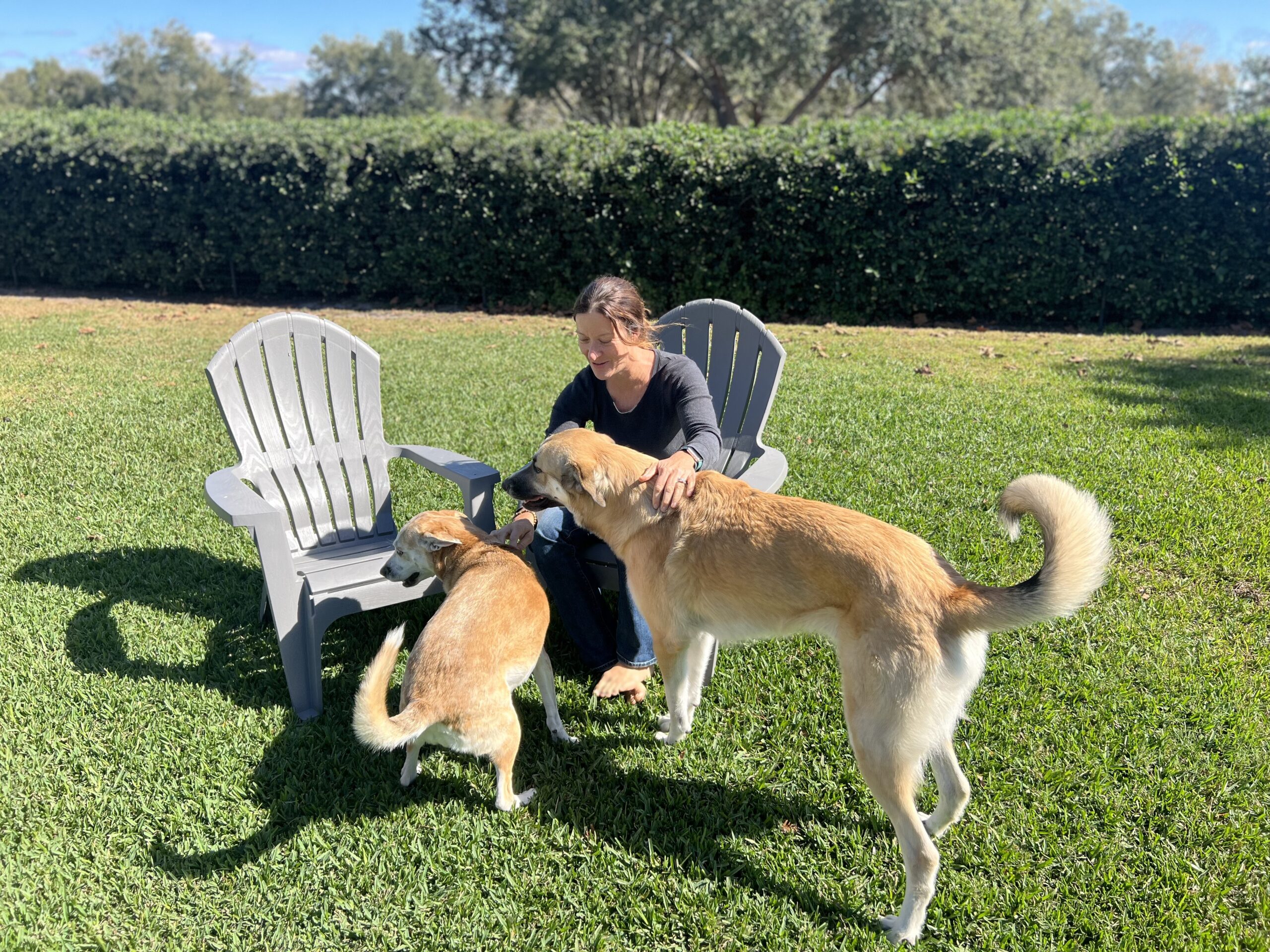 5 Simple Shifts for a Healthy Home