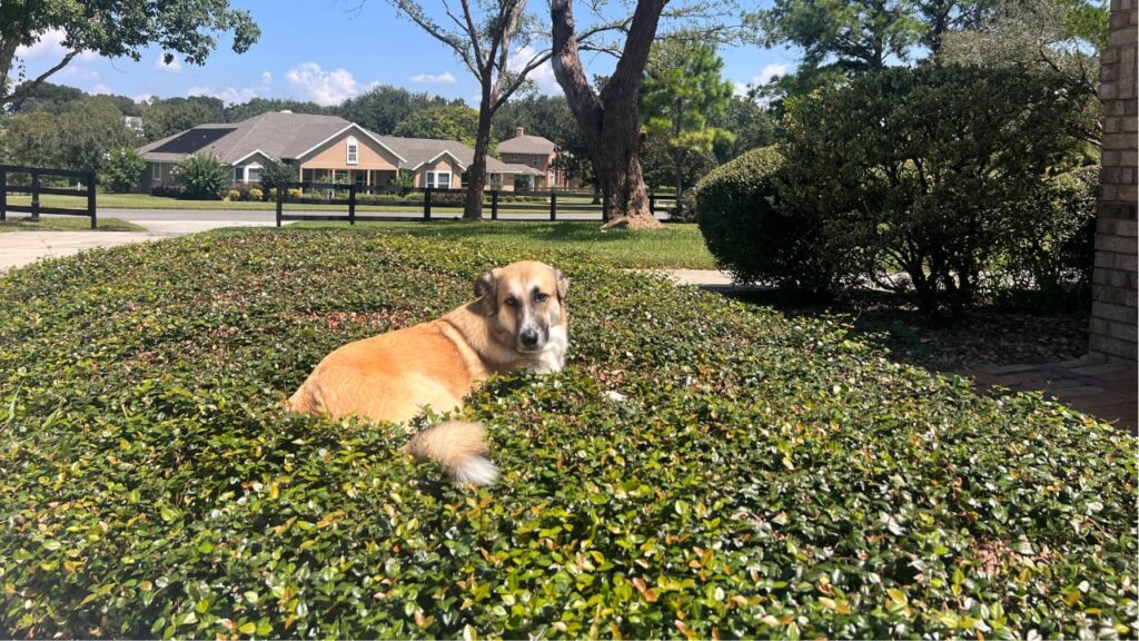 #160 Don’t Let the World Rush You