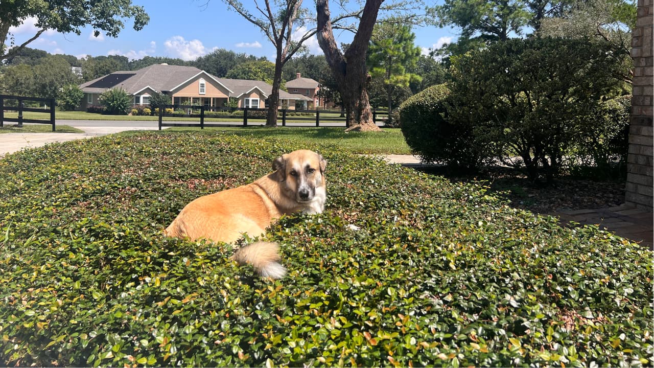 #160 Don’t Let the World Rush You