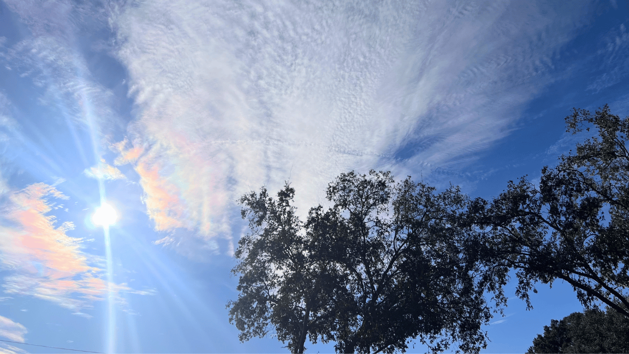 #173 Pay Attention to What You Are Following