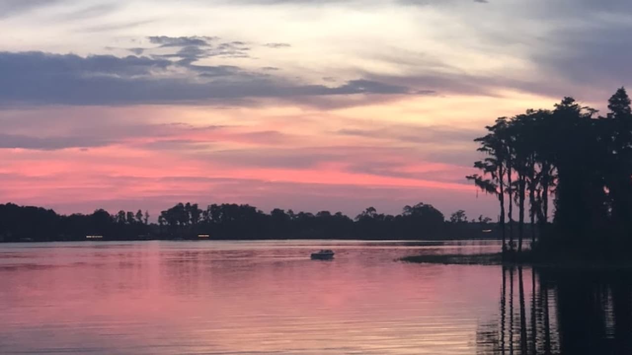 #209 Stop Chasing Your Version of Perfection