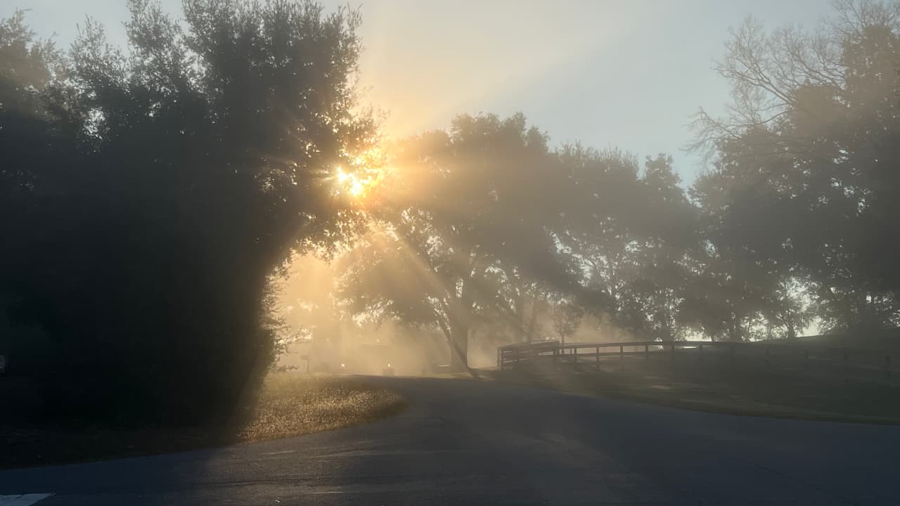 #207 The Devil Works Overtime During the Holidays