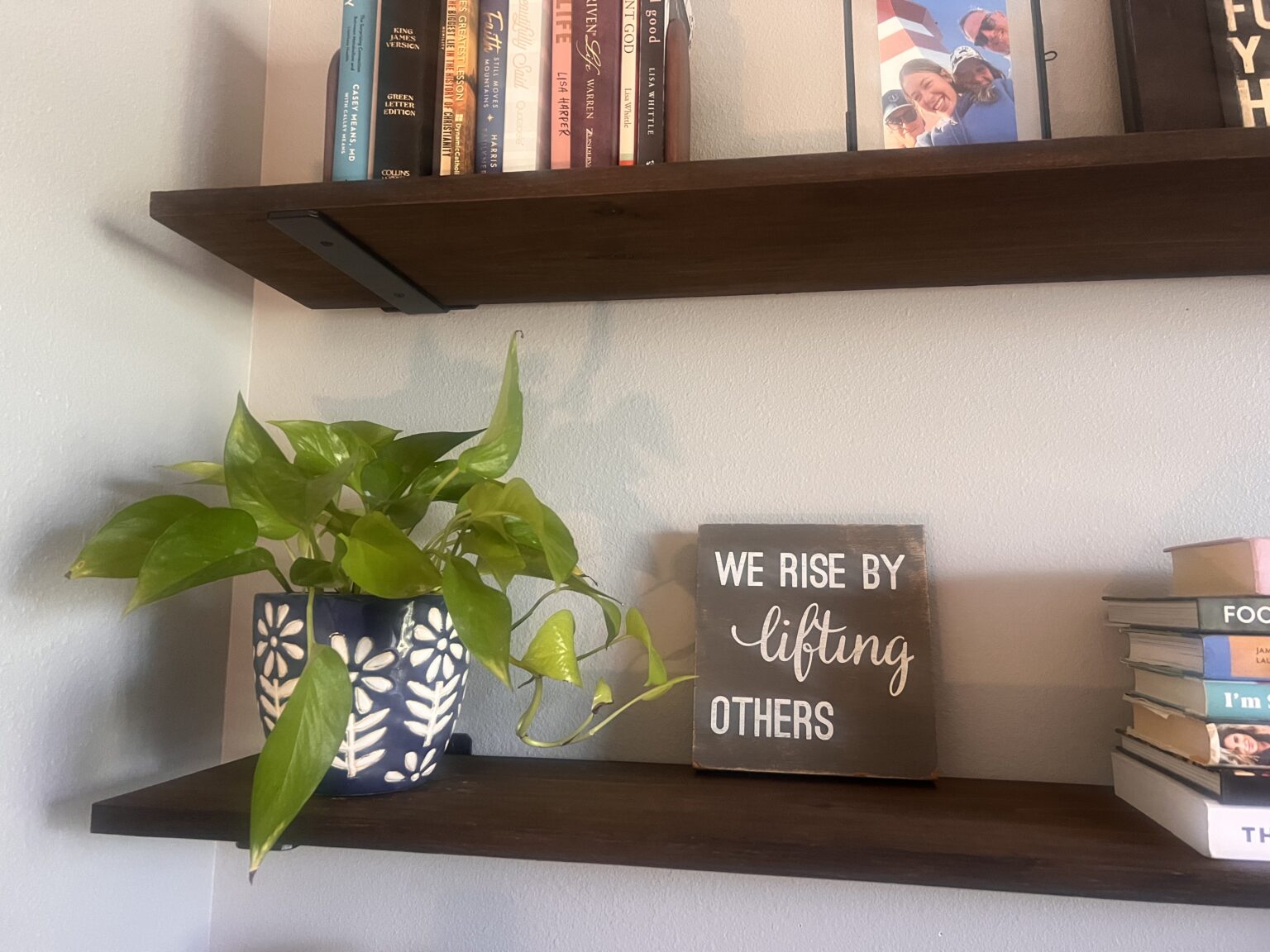 Indoor Plants and Air Quality: How Houseplants Create a Healthier Home