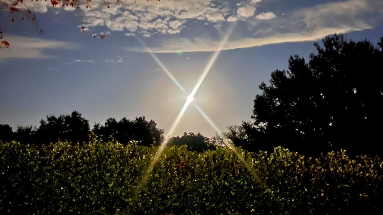 #217 Resilience: Learning to Rest, Reset, and Rise