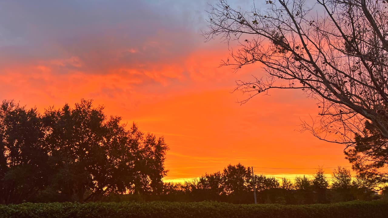 #220 Stop Stewing: Chronic Complaining Rewires Your Brain